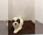 Small #3 Breeder Profile image