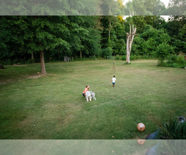 Medium Photo #14  Breeder Profile in NIXA, MO, USA