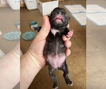 Small #7 Breeder Profile image