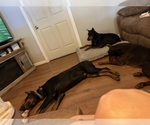 Small #14 Breeder Profile image