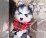 Small #19 Breeder Profile image