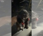 Small #5 Breeder Profile image