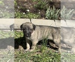 Small #10 Breeder Profile image