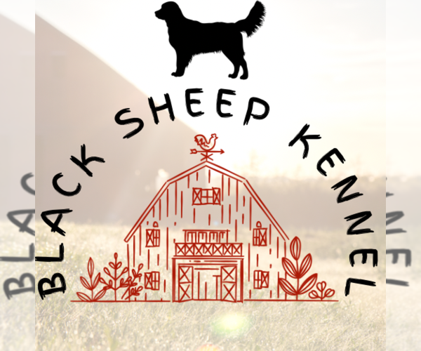 Medium Photo #1  Breeder Profile in TOWNVILLE, SC, USA