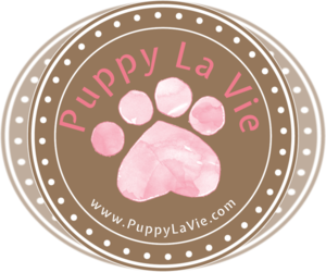 Labrador Retriever Dog Breeder near KING GEORGE, VA, USA