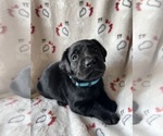Small #2 Breeder Profile image