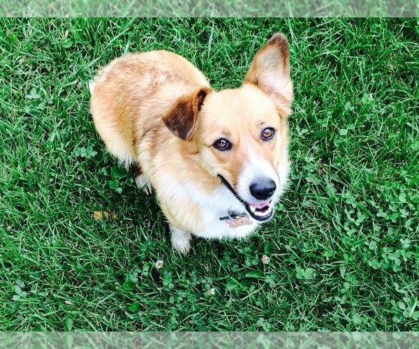 Medium Photo #1  Breeder Profile in HESPERUS, CO, USA