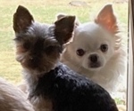 Small #2 Breeder Profile image