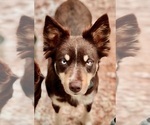 Small #27 Breeder Profile image