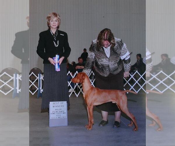 Medium Photo #4  Breeder Profile in HARLAN, IA, USA