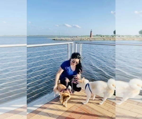 Medium Photo #1  Breeder Profile in ORLANDO, FL, USA