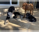 Small #76 Breeder Profile image