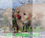 Small #14 Breeder Profile image