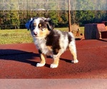Small #24 Breeder Profile image