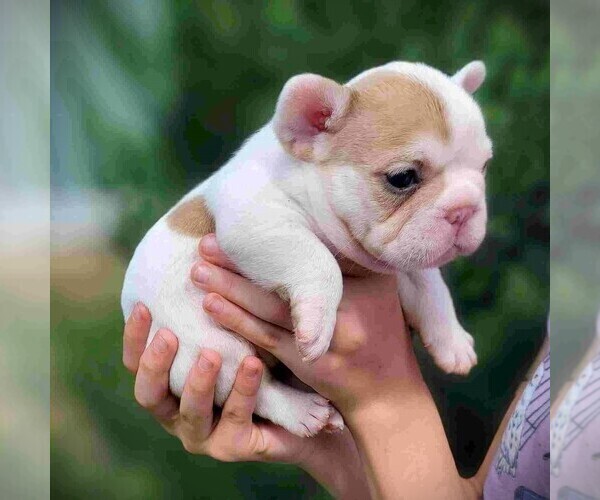 Medium Photo #2  Breeder Profile in HASTINGS, MN, USA
