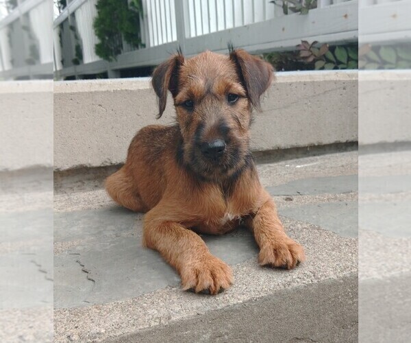 Medium Photo #9  Breeder Profile in WATERLOO, NY, USA