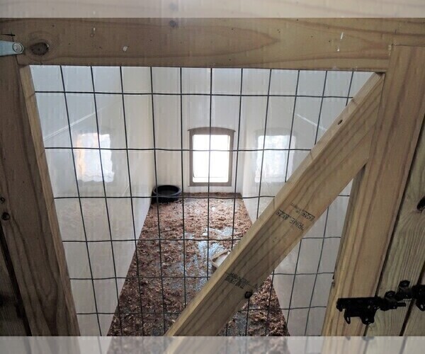 Medium Photo #6  Breeder Profile in CARLISLE, KY, USA