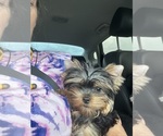 Small #12 Breeder Profile image