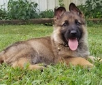 Small #26 Breeder Profile image