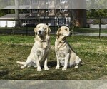 Small #2 Breeder Profile image