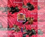 Small #25 Breeder Profile image