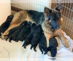 Small #5 Breeder Profile image