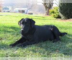 Small #5 Breeder Profile image