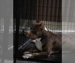 Small #2 Breeder Profile image
