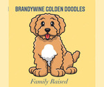 Small #1 Breeder Profile image
