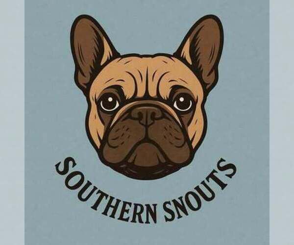 Medium Photo #1  Breeder Profile in GASTONIA, NC, USA