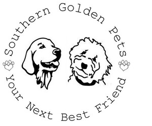 Golden Retriever Dog Breeder near MILAN, GA, USA