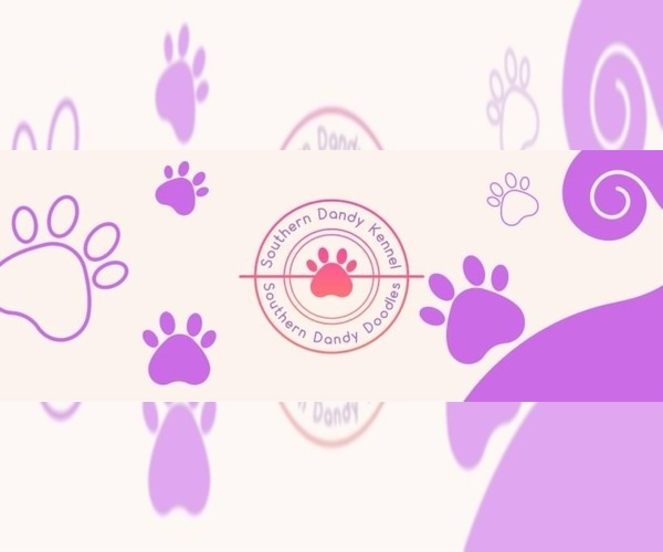 Medium Photo #1  Breeder Profile in TRAFALGAR, IN, USA
