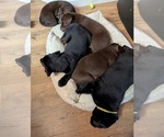 Small #6 Breeder Profile image