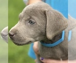 Small #9 Breeder Profile image