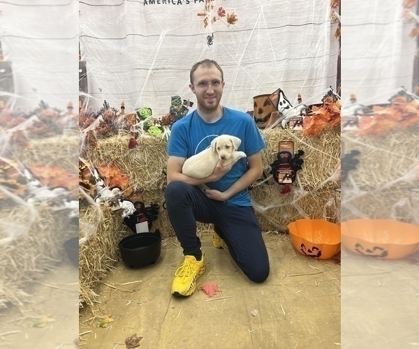 Medium Photo #50  Breeder Profile in NEOLA, WV, USA