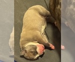 Small #3 Breeder Profile image