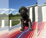 Small #5 Breeder Profile image