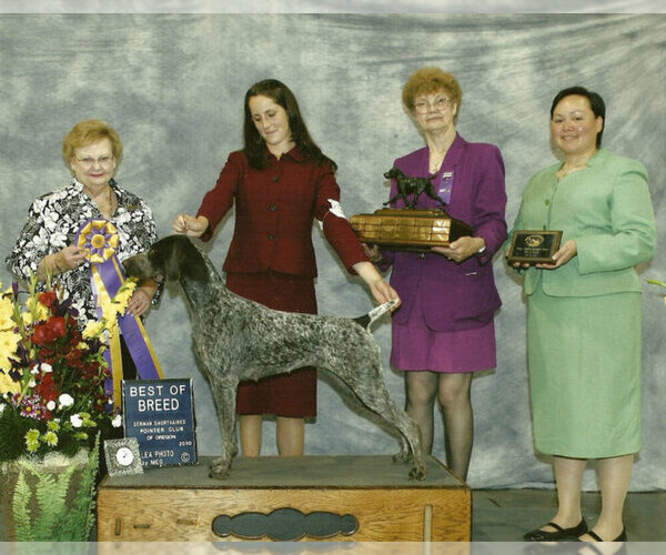 Medium Photo #1  Breeder Profile in EDMONDS, WA, USA