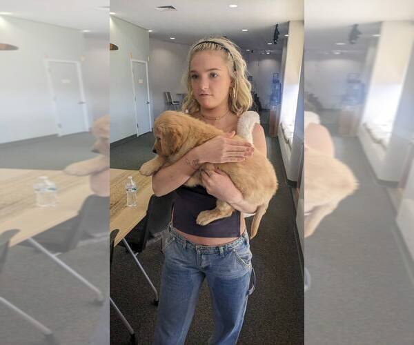 Medium Photo #12  Breeder Profile in LAS CRUCES, NM, USA