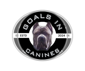 Cane Corso Dog Breeder near MOUNT MORRIS, MI, USA