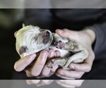 Small #10 Breeder Profile image