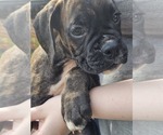 Small #3 Breeder Profile image