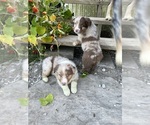 Small #24 Breeder Profile image