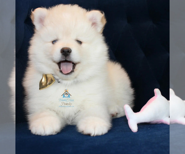 Medium Photo #16  Breeder Profile in BURNS TOWNSHIP, MN, USA