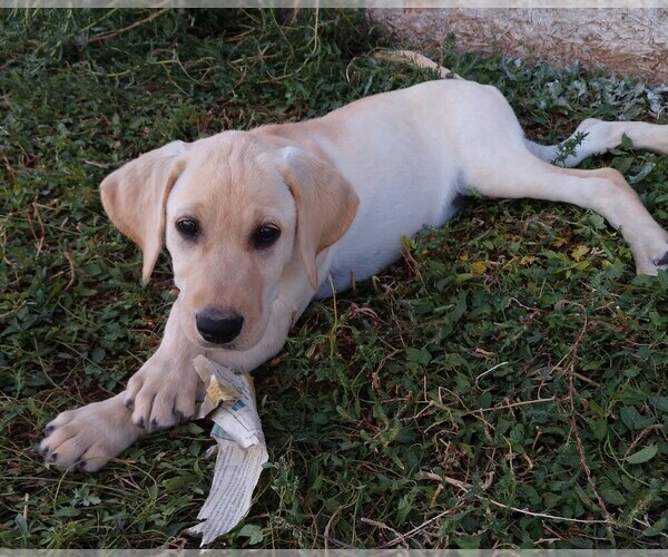 Medium Photo #1  Breeder Profile in SNYDER, CO, USA