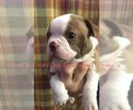 Small #3 Breeder Profile image