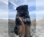 Small #125 Breeder Profile image