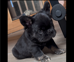 Small #5 Breeder Profile image