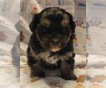 Small #1 Breeder Profile image