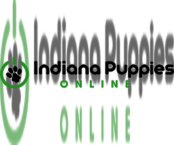 Medium Photo #1  Breeder Profile in WESTPOINT, IN, USA
